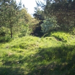 100_7250.jpg