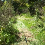 100_7376.jpg