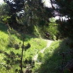 100_7397.jpg