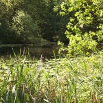 100_7587.jpg