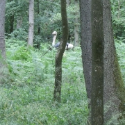 dsc00584