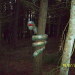 100_0355.JPG