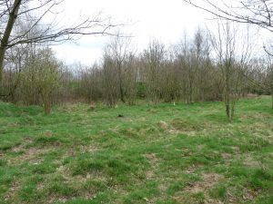 P1210823
